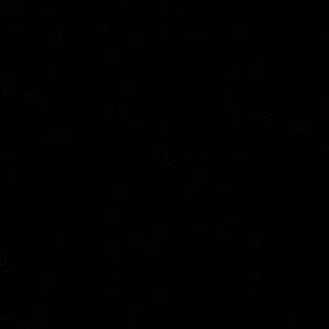 Meet your Posher, Lily